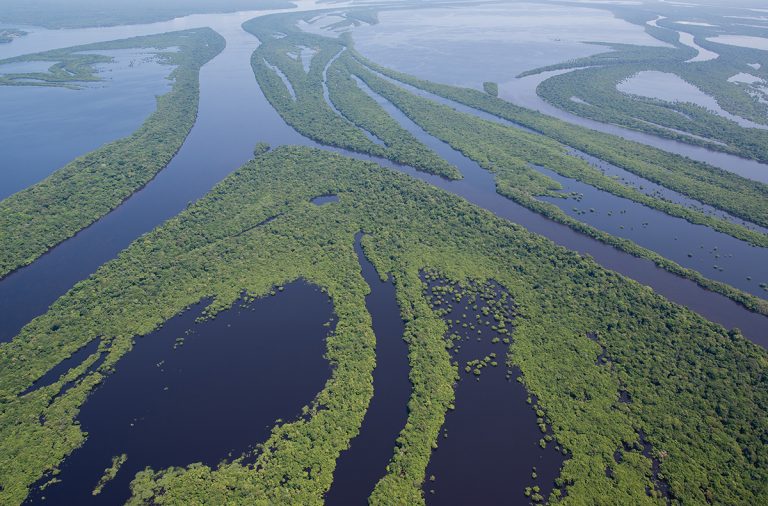 Amazônia-05