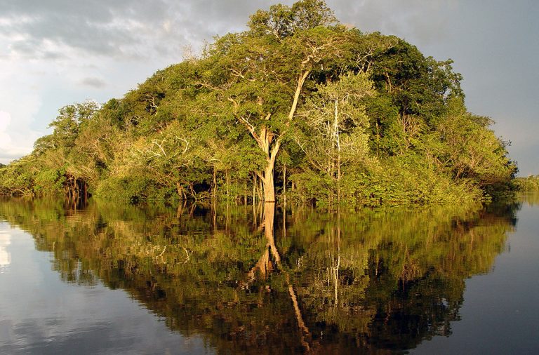 Amazônia-11