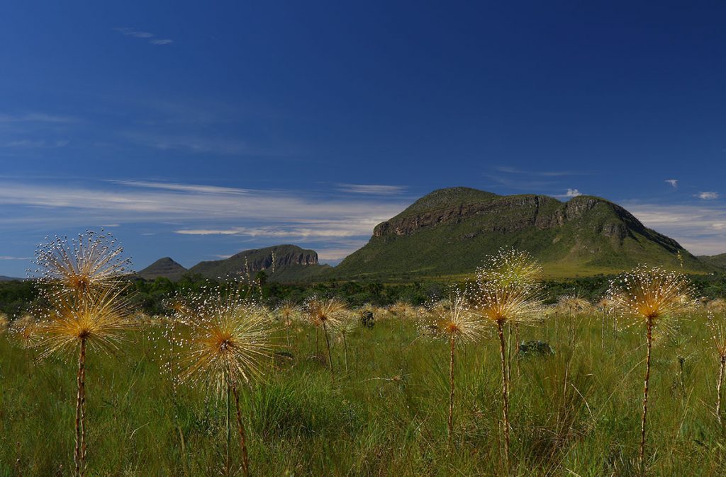 Chapada-dos-Veadeiros-05