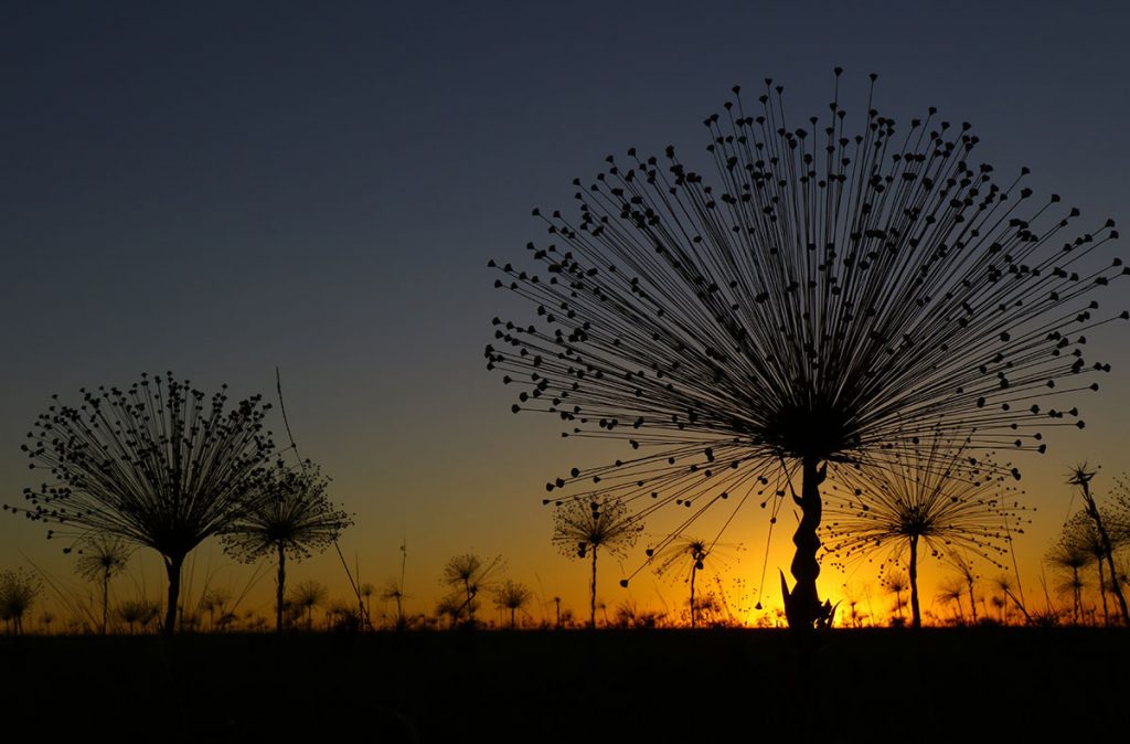 Chapada-dos-Veadeiros-06