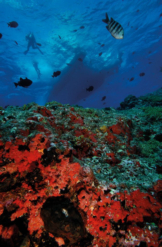 Fernando-de-Noronha-05