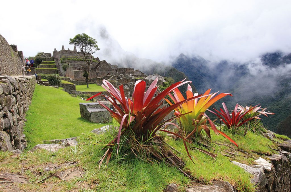 Machu-Picchu-03