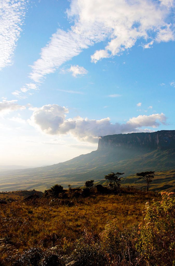 Monte-Roraima-18
