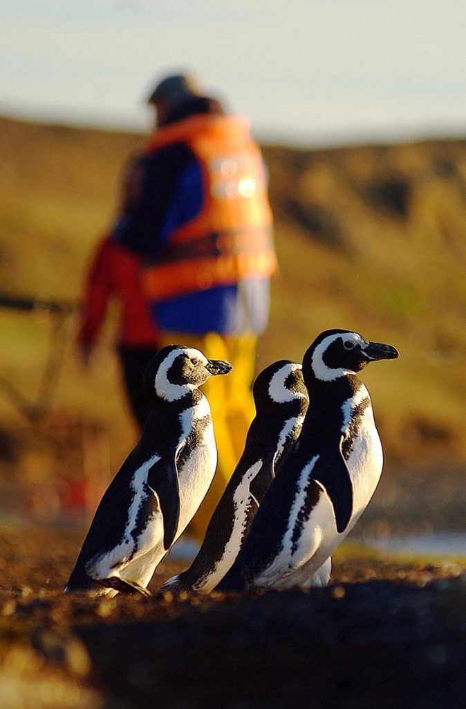 Patagonia-Argentina-12