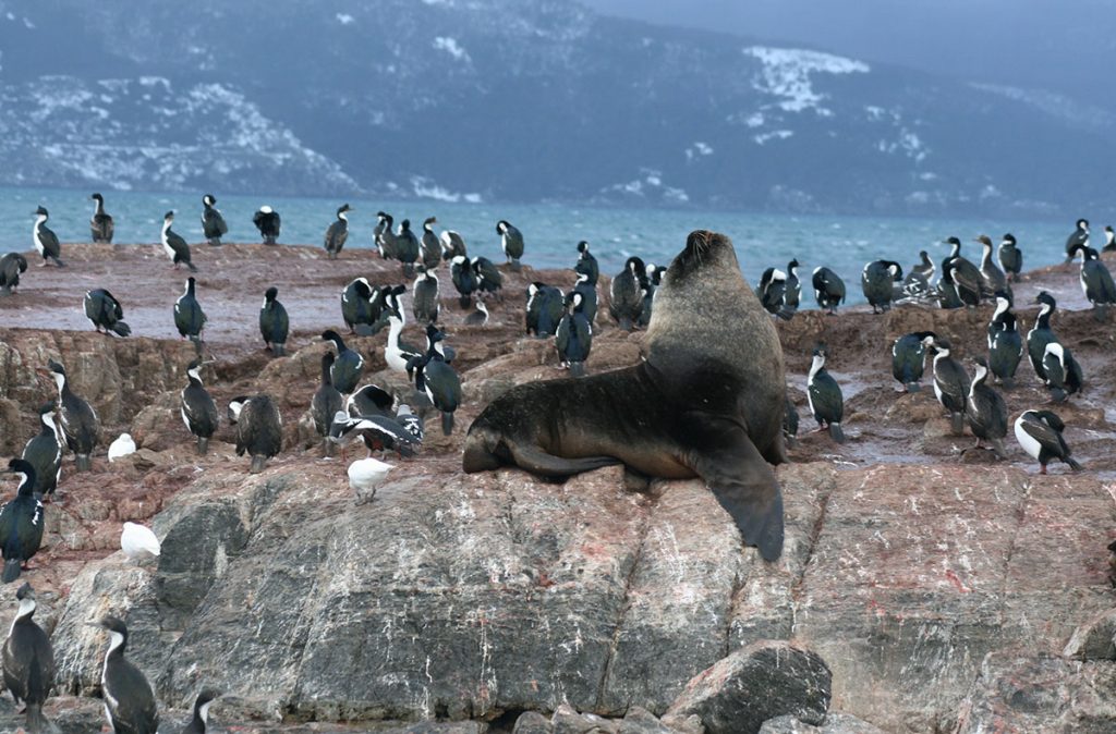 Patagonia-Argentina-13