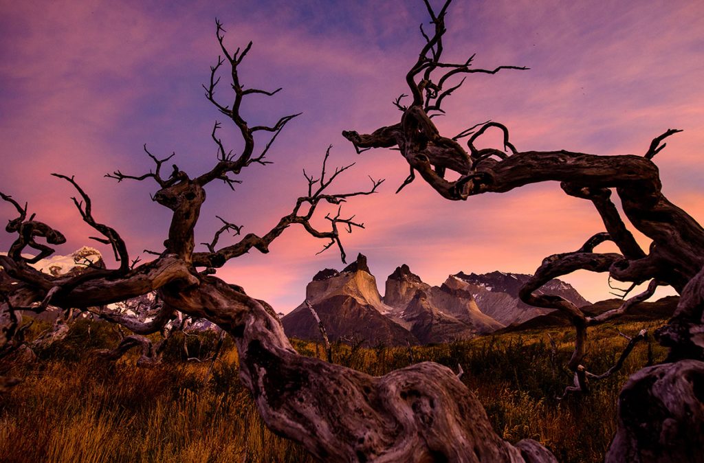 Patagonia-Chilena-21