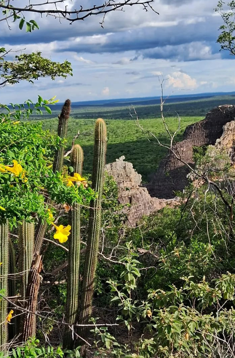 Serra-da-Capivara-09