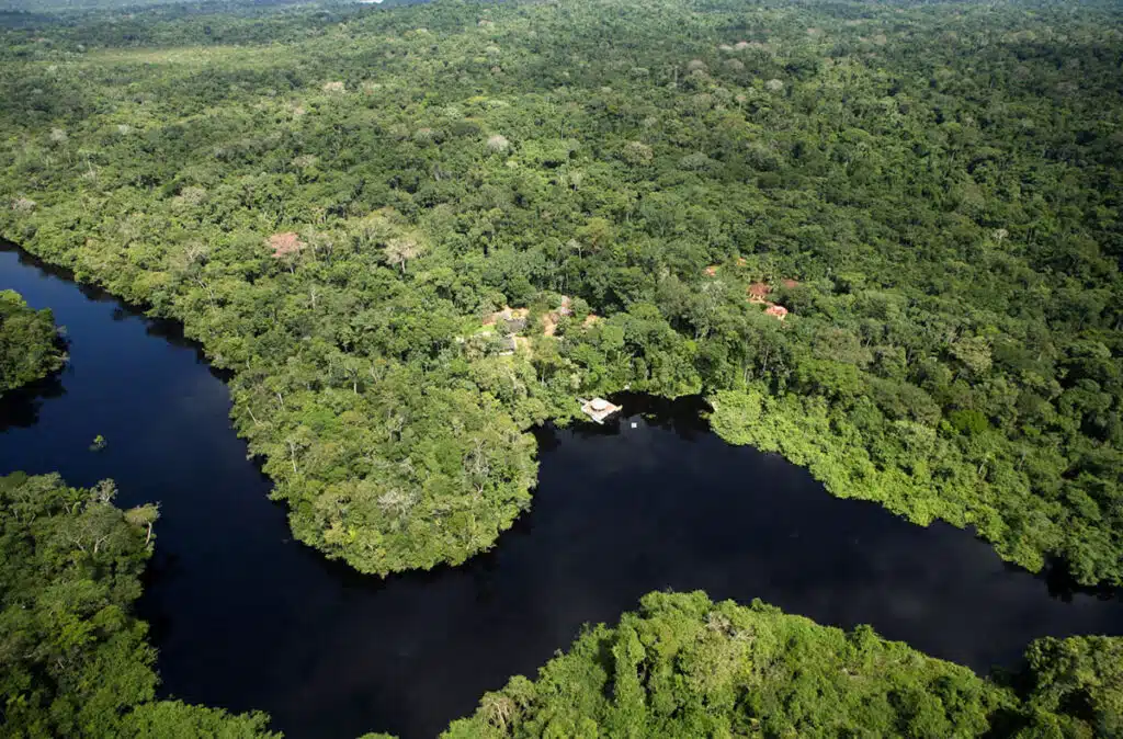 Alta-Floresta-04