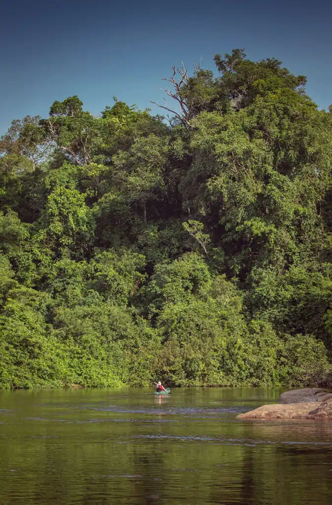 Alta-Floresta-07