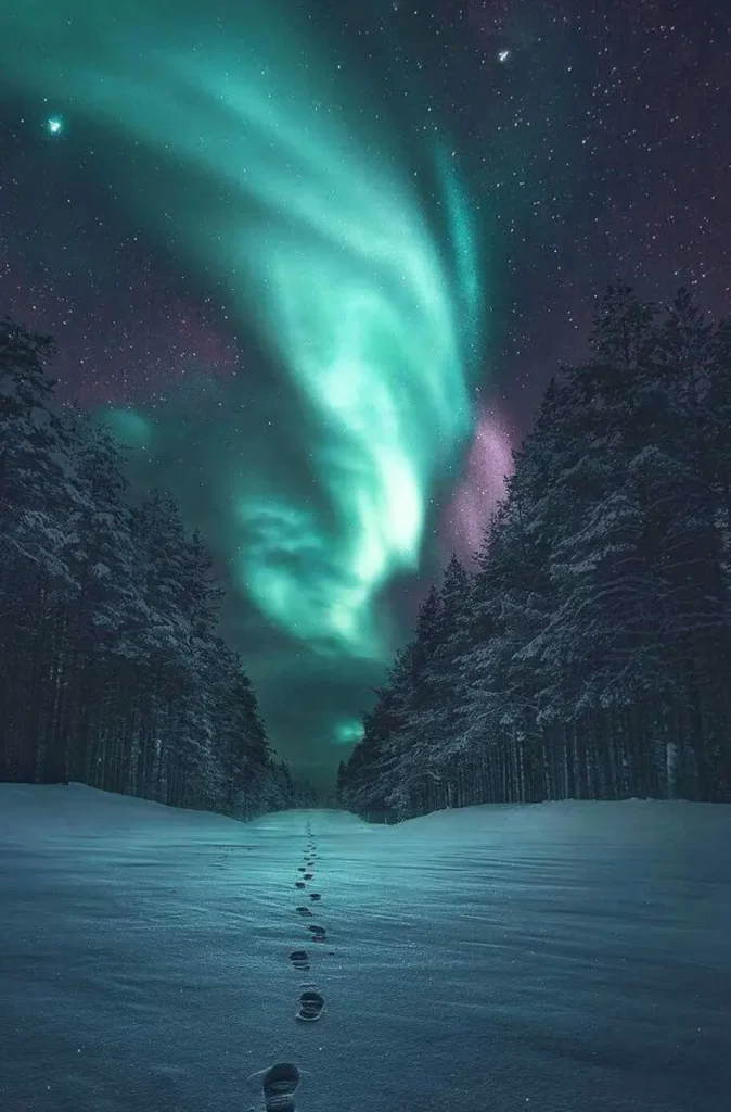 Finlandia-01
