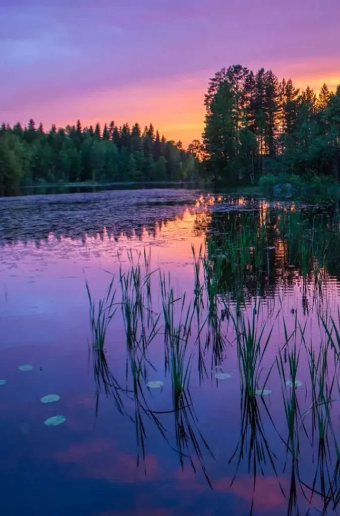 Finlandia-04